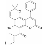 Structure of Calophyllolide